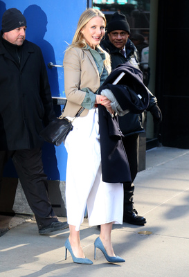 Cameron Diaz Poster 2727536
