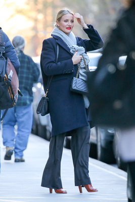 Cameron Diaz Poster 2727575