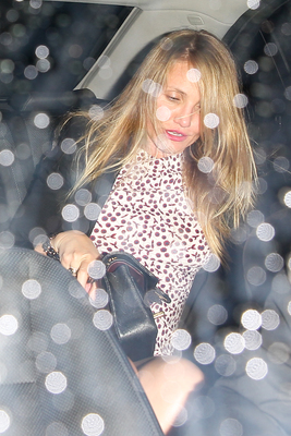 Cameron Diaz Poster 2727693