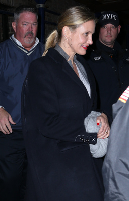 Cameron Diaz Poster 2727705