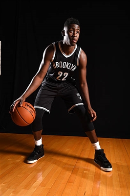 Caris LeVert Poster 3418951