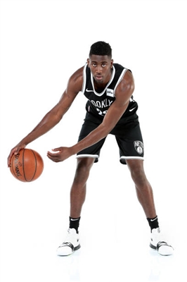 Caris LeVert Poster 3418957