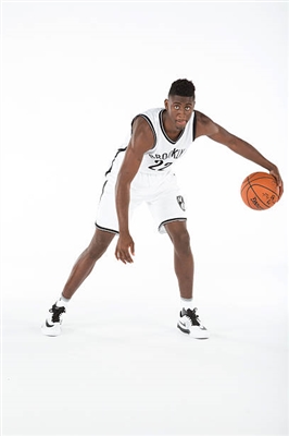 Caris LeVert Poster 3419019