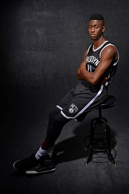 Caris LeVert Poster 3419021
