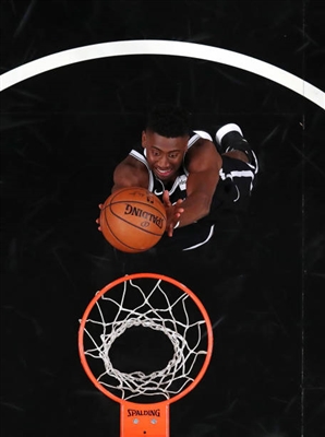 Caris LeVert Poster 3419035