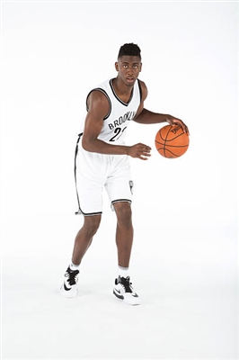 Caris LeVert Poster 3419063