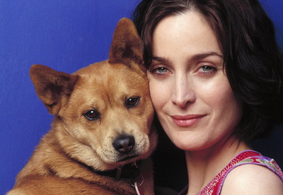 Carrie Anne Moss Poster 3198989