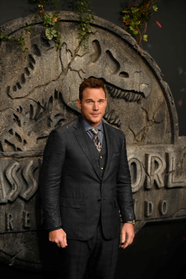 Chris Pratt Poster 3297964
