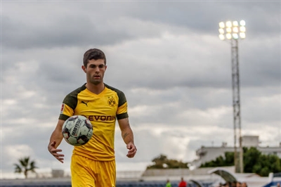 Christian Pulisic Poster 3703888