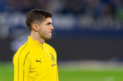 Christian Pulisic Poster 3703891