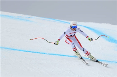 Christine Scheyer Poster 3638936