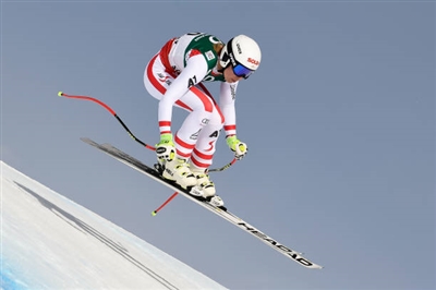 Christine Scheyer Poster 3638941