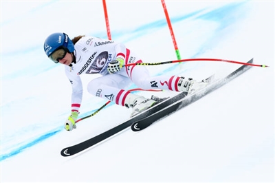 Christine Scheyer Poster 3638947