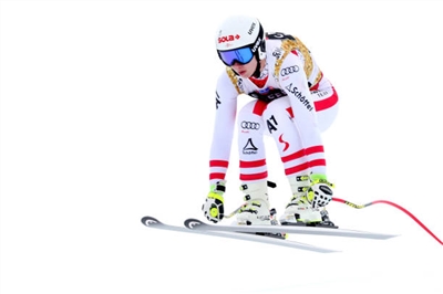 Christine Scheyer Poster 3638948