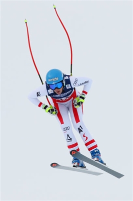 Christine Scheyer Poster 3638961