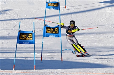 Clement Noel Poster 3650065