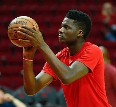 Clint Capela Poster 3380791