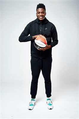 Clint Capela Poster 3380818