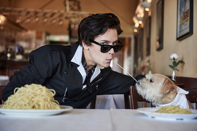 Cole Sprouse Poster 3662174
