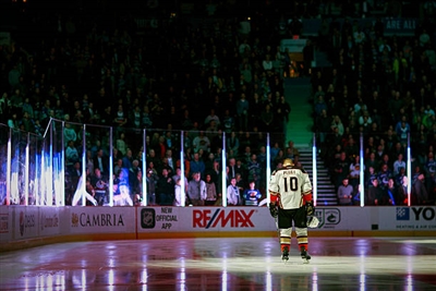 Corey Perry Poster 3561834