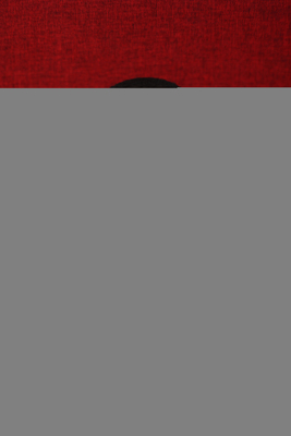 Damian Lillard Poster 3961706