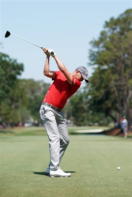 Daniel Berger Poster 3495425