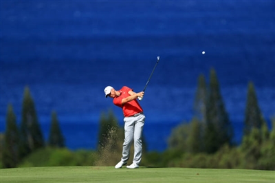 Daniel Berger Poster 3495473