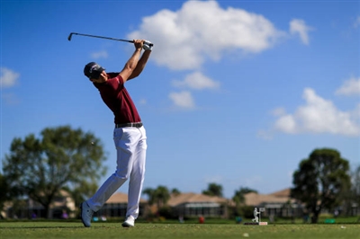 Daniel Berger Poster 3495679