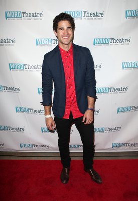 Darren Criss Poster 3077333