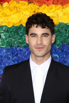 Darren Criss Poster 3855453