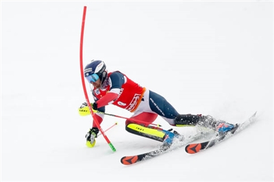 Dave Ryding Poster 3649846