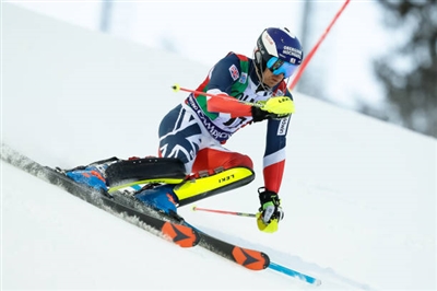 Dave Ryding Poster 3649852