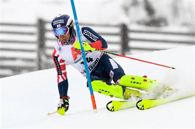 Dave Ryding Poster 3649874