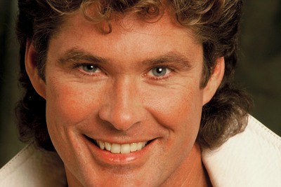 David Hasselhoff Poster 2103552