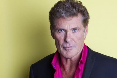 David Hasselhoff Poster 2158966