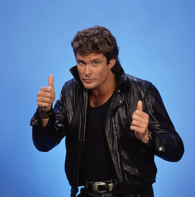 David Hasselhoff Poster 2191053