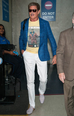 David Hasselhoff Poster 2842926