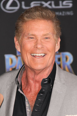 David Hasselhoff Poster 2989150