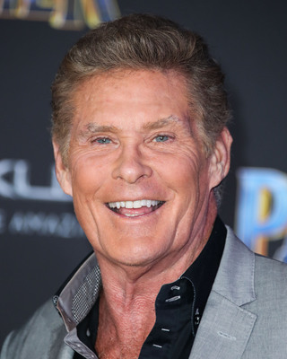 David Hasselhoff Poster 2989151