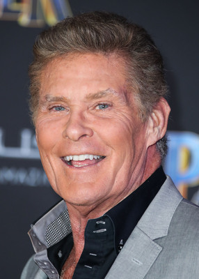 David Hasselhoff Poster 2989160