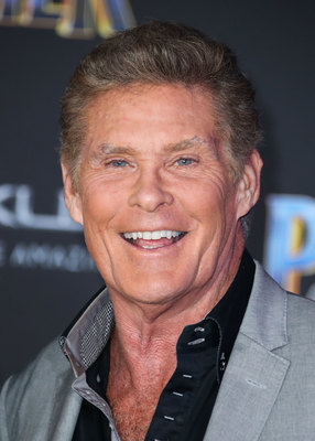 David Hasselhoff Poster 2989163