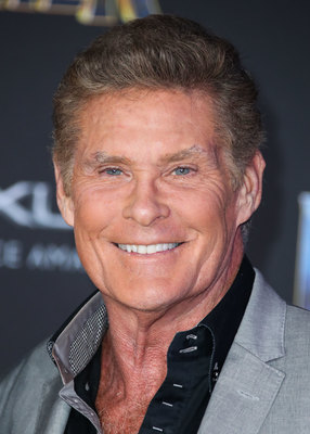 David Hasselhoff Poster 2989164