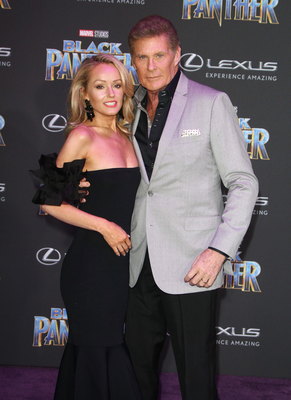 David Hasselhoff Poster 2989169