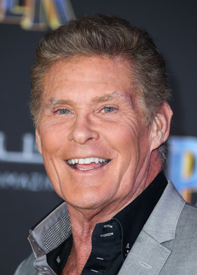 David Hasselhoff Poster 2989201