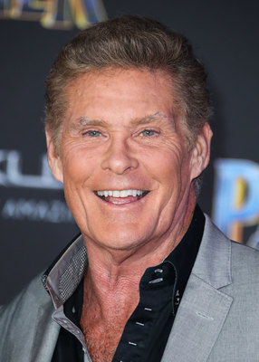 David Hasselhoff Poster 2989207