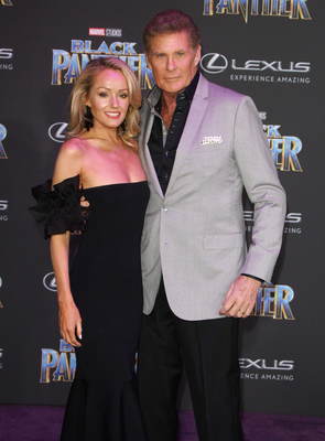 David Hasselhoff Poster 2989208