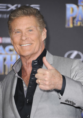 David Hasselhoff Poster 2989214