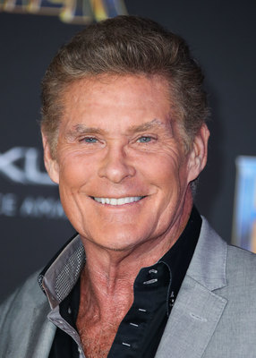 David Hasselhoff Poster 2989215