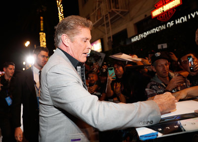 David Hasselhoff Poster 2989218