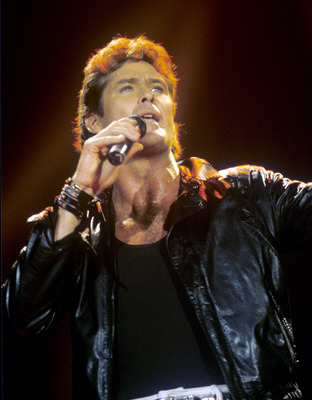 David Hasselhoff Poster 3118739